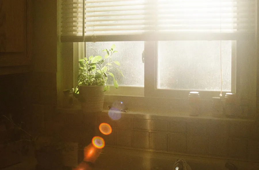 Sunlight streaming through a window onto a kitchen counter